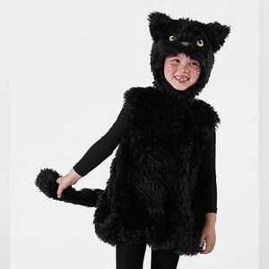 Pottery barn kids 2t-3t cat costume